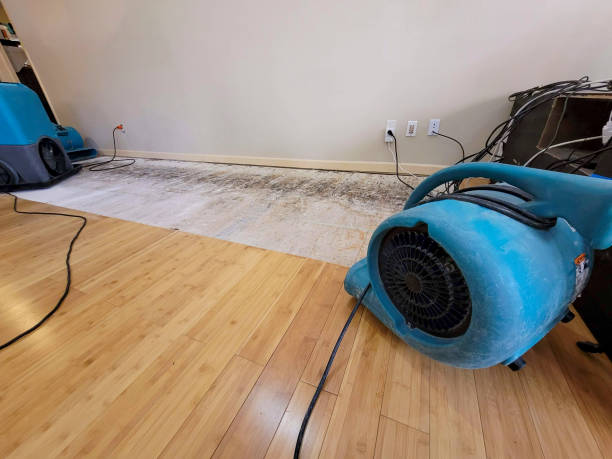 Professional Water Removal technician working in Anna, OH